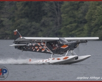 TSR Watermark - 0306